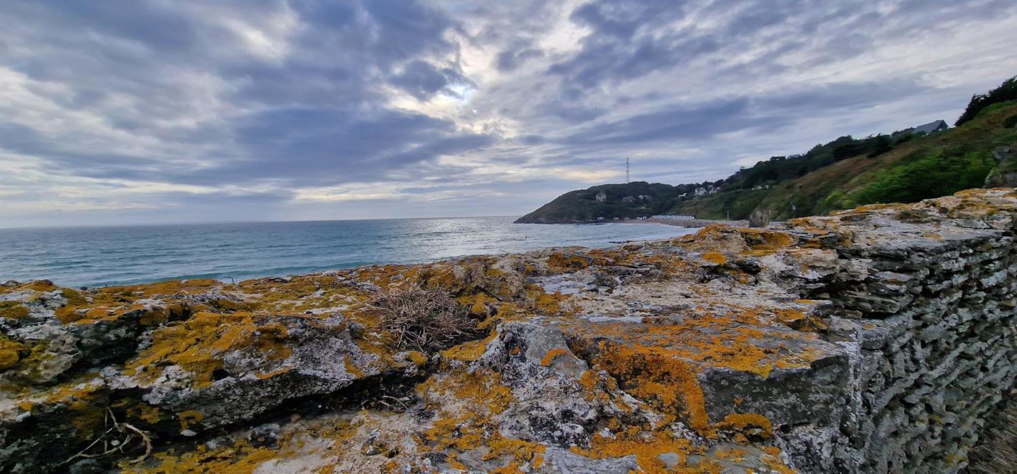 Gite 4 Personnes Avec Piscine Et Bain Nordique Proche Des Plages Du Debarquement Le Manoir  Exteriér fotografie